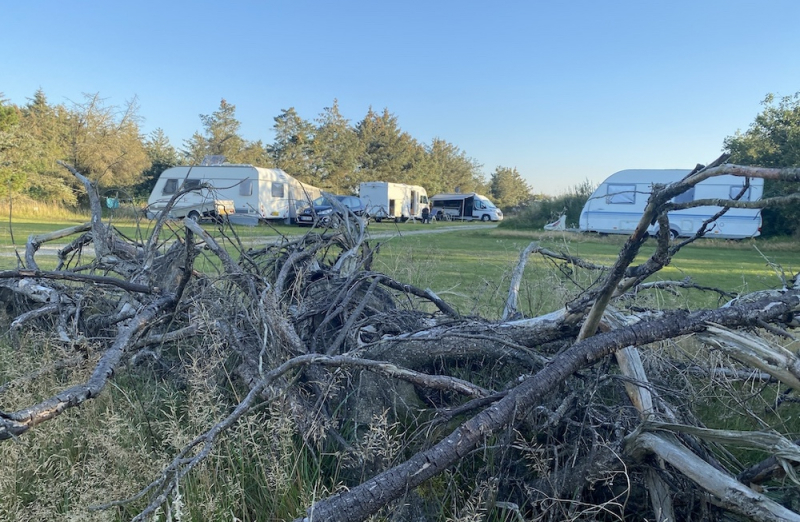 Camping vid Blokhus mitt i naturen